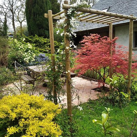 Maison Dans Un Environnement Boise Tres Calme Morlaix Exteriör bild