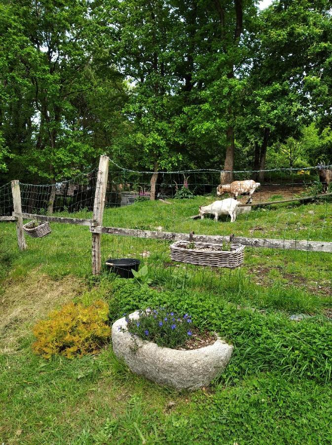 Maison Dans Un Environnement Boise Tres Calme Morlaix Exteriör bild