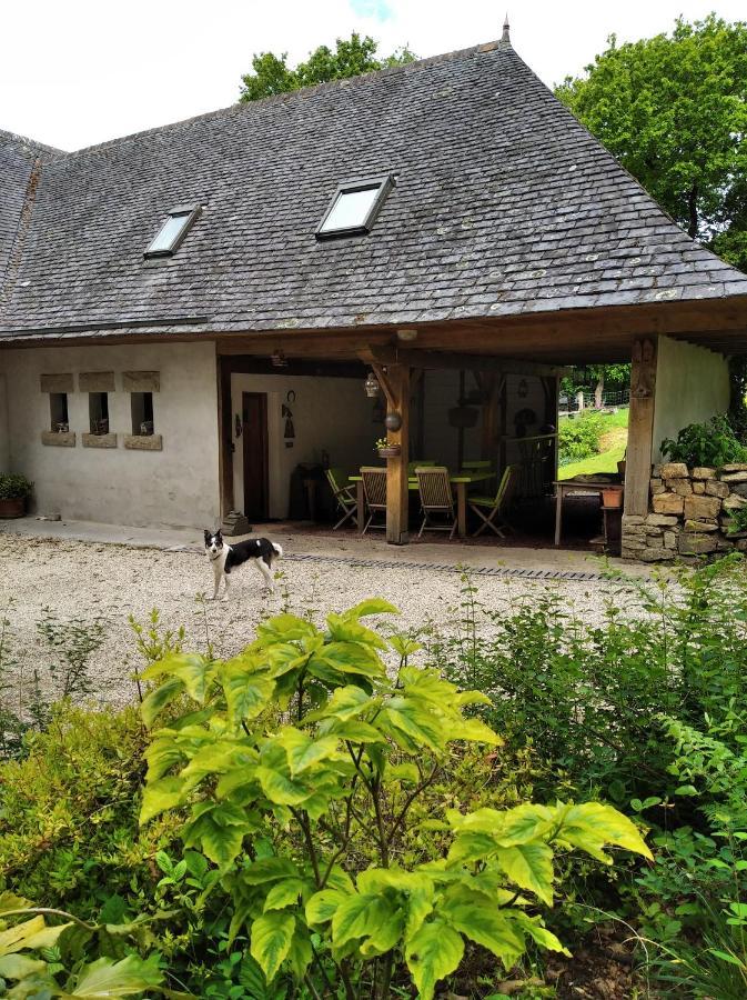 Maison Dans Un Environnement Boise Tres Calme Morlaix Exteriör bild