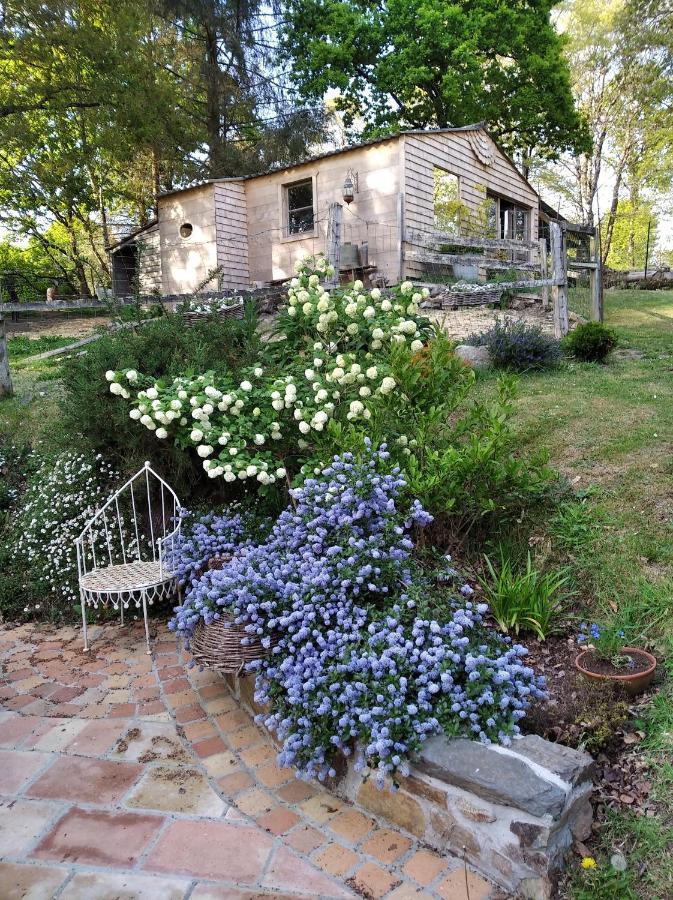 Maison Dans Un Environnement Boise Tres Calme Morlaix Exteriör bild