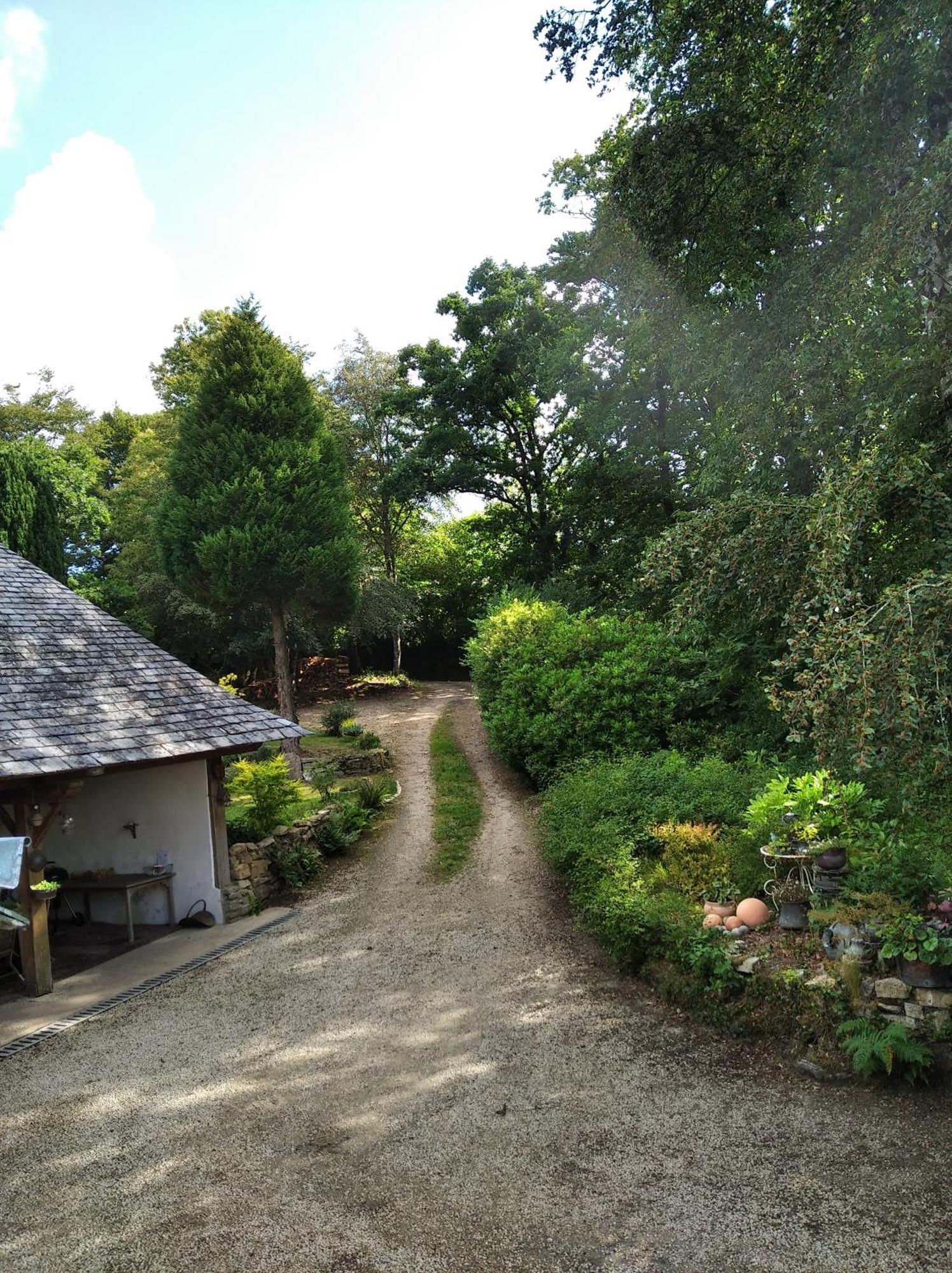 Maison Dans Un Environnement Boise Tres Calme Morlaix Exteriör bild