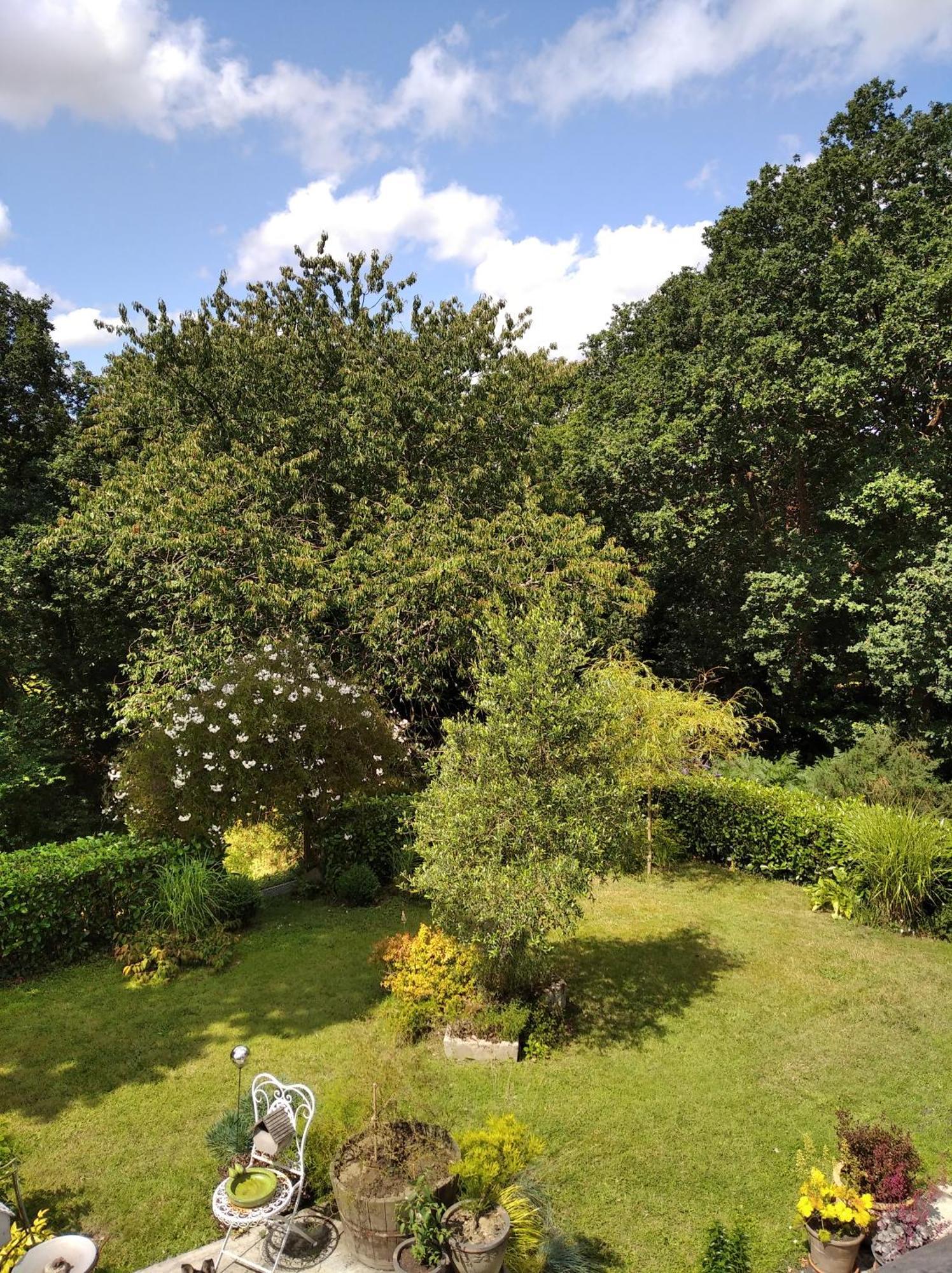 Maison Dans Un Environnement Boise Tres Calme Morlaix Exteriör bild