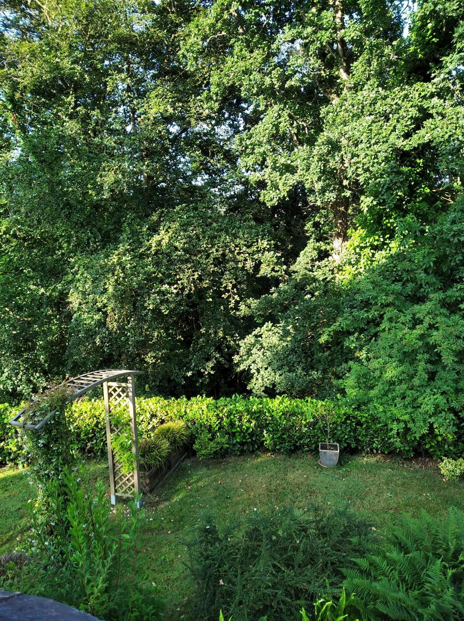 Maison Dans Un Environnement Boise Tres Calme Morlaix Exteriör bild